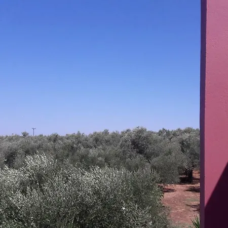 Σπίτι διακοπών Red In The Olive Tree Fields *