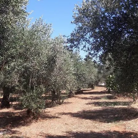 Σπίτι διακοπών Red In The Olive Tree Fields Glifada